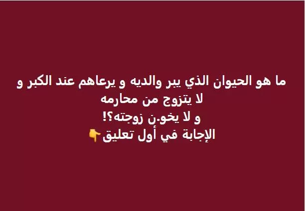 ما هو الحيوان الذي يبر والديه ويراعيهم عند الكبر ولا يتزوج من محارمه ولا يخون زوجته